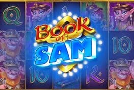 Book of Sam